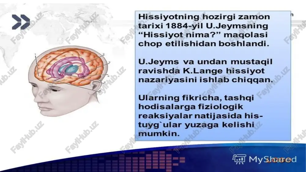 ch eshigiga yopishtirib qoyib, har kuni u bilan yuzma-yuz keling-da, uni xayolan mahv eting. qoquvni his eting! siz qorquvni tan oldingiz. hatto u bilan yuzlashdingiz ham. demak, sizni qorqitayotgan holatni his etishingiz qoldi. avvallari qorquvdan qollaringiz titrab, kozlaringiz pirpirayotganini sezgansiz. biroq bu qorquvga qarshi kurashayotganingiz, yani notogri yondashayotganingiz belgisidir. yuqorida biz boron va chaqmoq chaqishini misol qildik. keling, ana shu manzarani tasavvur etib, shu vaqtdagi qorquvni his etib koramiz. bu hisniqanday boshqarilishini tushunganingiz sari, bu faqat sizning muammongiz emasligini ham faxmlaysiz. avvaliga chaqmoqning gumburlagan ovozi, song shamol guvillashi va daraxt barglarini derazaga qattiq urilishini tasavvur qilamiz. bu tovushlarni hayolan eshitib ham etingiz junjikadi. shunda chuqur nafas olib, tanangizni boshashtiring. har safar mana shu qorquv bilan yuzlashsangiz, u bilan hayolan suhbatlashib, nafas mashqi yordamida tinchlanishga harakat qiling. har ishning hikmati bor! bizning qorquvlarimiz noaniq kelajakdagi voqea-hodisalarga qaratilgani bilan ham vahimaliroq korinadi. misol uchun, ishdan boshatib yuborishsa nima qilaman, turmush ortogim boshqasini …