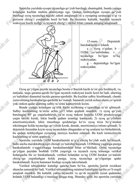 i tuproqli qoplamaga nisbatan qattiqroq, demak, yugurish yo‘lkasida tanyach reaksiyasi kuchlari ko‘proq bo‘ladi. shunday qilib, depsinish kuchi deganda mushak kuchlanishlari va tayanchga inersiya kuchlarining ta’siri ostida yuzaga keladigan tayanch reaksiyasi kuchini tushunish kerak. depsinish kuchi kattaligi quyidagilarga bog‘liq: - tayanch sifatiga; - mushak kuchlanishlari kattaligiga; - inersiya kuchlari kattaligiga; - mushak kuchlanishlari va kuchlarining ta’sir qilish yo‘nalishiga; - faol tana og‘irligining passiv og‘irligiga nisbatlariga (faol tana og‘irligi – depsinish uchun mushak kuchlanishlarini yaratishda qatnashuvchi mushaklarning og‘irligi; passiv tana og‘irligi – sportchining qolgan barcha tana og‘irligi). sportcha yurishda depsinish kuchining maksimal kattaligi emas, balki uzoq vaqt ishlashga mo‘ljallangan optimal kattaligi juda muhimdir. sportchi tayanchga unga nisbatan burchak ostida ta’sir ko‘rsatadi, depsinish kuchi gorizontal tezlik vektoriga nisbatan burchak ostida uomga ta’sir qiladi. depsinish kuchi vektori gorizontal tezlik vektoriga qancha yaqin bo‘lsa, siljib harakatlanish tezligi shuncha yuqori bo‘ladi. depsinish kuchi vektori va gorizontal tezlik vektori tomonidan hosil qilingan burchak depsinish burchagi deb ataladi. …