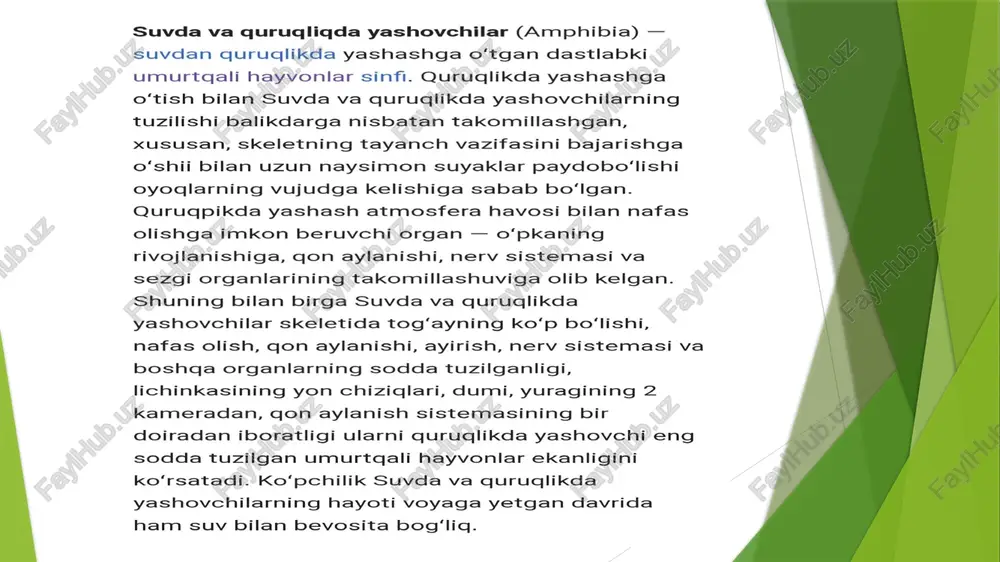 umurtqalilar hayvonlarning - Page 5