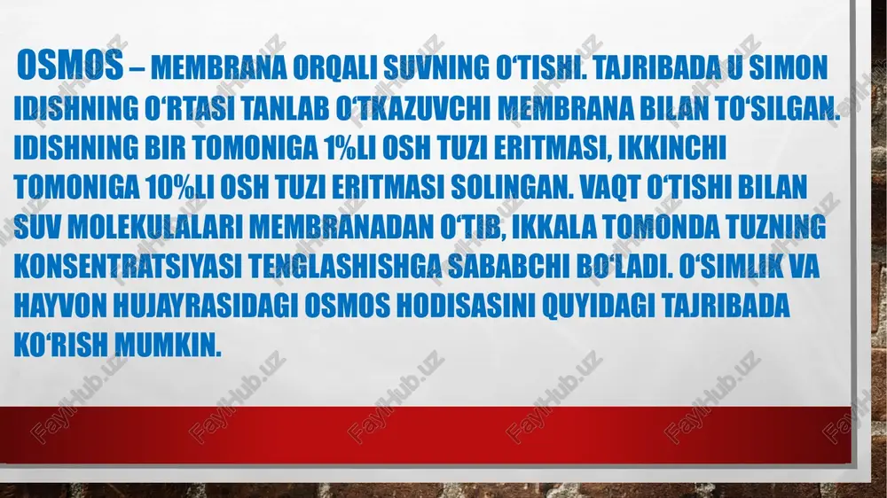 o‘simliklarda moddalar transporti - Page 5