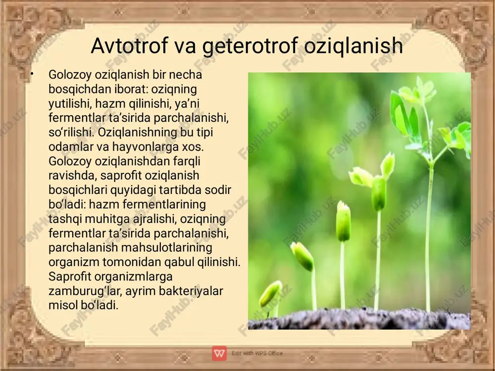 a asos bo‘ladi. ushbu moddalar esa, o‘simlik hujayralari va to‘qimalarin00-rasm. o’simliklarda mineral moddalarning harakatlanishi. 81 ing qurilishiga sarflanadi yoki, oziq zanjiri orqali geterotrof organizmlarga o‘tadi. fotosintez jarayonida atmosferaga ajralib chiqqan erkin kislorod esa aerob organizmlarning nafas olishi uchun sarflanadi. o‘simlikning nafas olish jarayonida esa organik moddalar suv va karbonat angidridgacha parchalanadi. natijada o‘simlikning hayotiy faoliyati uchun zarur energiya ajraladi. 1. 2. 3. 4. savollar? o‘simliklarning oziqlanishida suvning qanday ahamiyati bor? o‘simlik hayotida minerallarning yetishmasligi qanday namoyon bo‘ladi? fotosintezning tabiatdagi ahamiyatini aytib bering? o‘simliklarning mineral oziqlanishi elementlarining davriy aylanishida qanday ahamiyatga ega? topshiriq: mavzuni o’qib urganib kelish: eʼtiboringiz uchun raxmat.