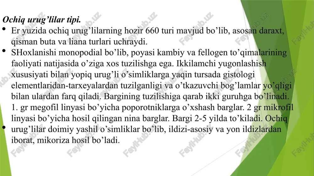 algan, o`sha yog`och qismi tuzilishi jihatidan ninabarglilarning yog`och qismiga o`xshagan edi. kordaitlar boshqa ochiqurug’lilar bilan birgalikda toshko’mir davrining o'rtasidan perm davri oxirigacha shimoliy va janubiy yarim sharlarda o'rmonlar hosil qildilar. kordaitlar asosan monopodial tavaqalangan tanasi (ba'zan ichi bo'sh) va baland tojli yirik ikki qavatli daraxtlar edi (balandligi 20-30 m gacha va diametri 1 m gacha). chiziqli, lansolat, romboid yoki kamarga o'xshash shakllarning spiral ravishda joylashgan barglari 3-4 sm dan 100 sm gacha bo'lgan o'lchamga ega.sirg’aga o'xshash bir jinsli strobili barglar qo'ltig'ida yoki ular orasida rivojlandi. kordaitlar ko'mir konlarini shakllantirishda qatnashdilar, ularda kordaitlar (kogdaitlar) va kordaitantuslar (kordaitantuslar) avlodlari a'zolarining qoldiqlari eng yaxshi saqlanib qolgan. kordaitlar ignabargli daraxtlarning ajdodlar guruhi sifatida qaraladi ginkgolar. gingkgoales tartibi hozir ginkgoaceae degan atigi bitta oilani o`z ichiga oladi, bu oilaning birdan-bir vakili ginkeo ( ginkgo biloba) dir. g.biloba adl bo`ladigan daraxt bo`lib, balandligi 30-40 m ga, yo`g`onligi 3-4 m ga yetadi. poyasi 18 sm gacha boradi, …