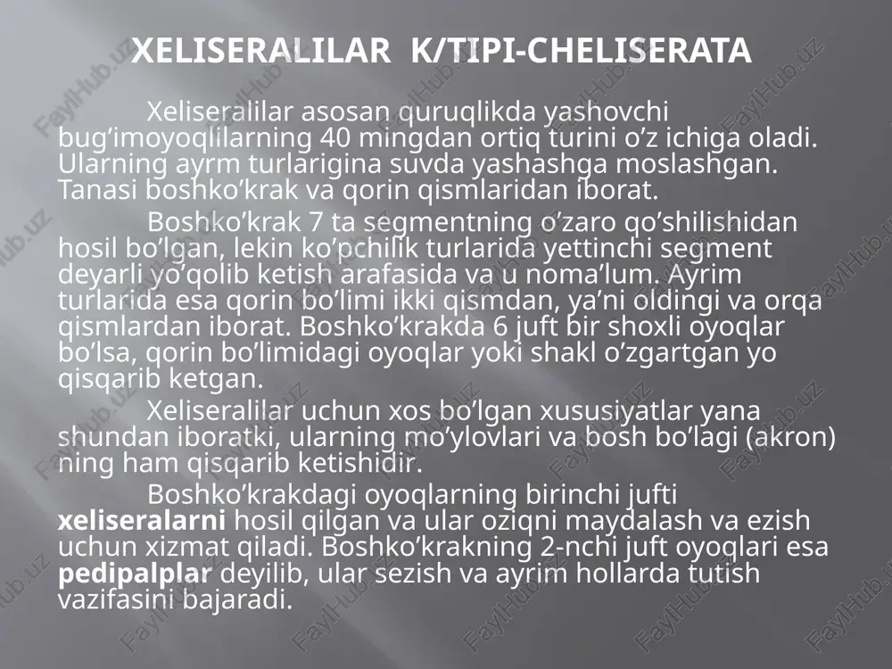 i lirasimon organlar- kutikulasidagi kichik tirqishlar, kimyoviy sezish va hid bilish vazifasini bajaradi. ko’zlar o’rgimchaksimonlar sinfining klassifikasiyasi o’rgimchaklar turkumi – aranei. o’rgimchaklarning boshko’krak va qorin bo’limlari bo’g’imlarga bo’linmagan hamda ushbu ikkala bo’lim ingichka va qisqa poyacha yordamida birlashgan bo’ladi. ushbu poyacha 7-nchi segment hisobidan hosil bo’lgan. pedipalplari paypaslagichlar shaklida. erkak o’rgimchakda ular qo’shilish organi vazifasini bajaradi. nafas olish organlari bir yoki ikki juft o’pkalardan iborat. ko’pchiligida yana traxeyalar ham rivojlangan. qorin bo’limidagi ikkita segmentning oyoqlari to’r hosil qiluvchi so’gallarga aylangan. ip hosil qiluvchi bezlar qorin bo’shlig’ida joylashgan. o’rgimchaklarda jinsiy dimorfizm yaxshi rivojlangan. erkagi urg’ochisidan biroz kichik bo’ladi, shuningdek pedipalplari uchidagi naysimon o’simta qo’shilish organiga aylangan. o’rgimchaklar foydali hayvonlardir, chunki ular zararkunanda hasharotlarni ko’plab yo’qotadi. ko’pgina o’rgimchaklarning o’zi boshqa hayvonlar (kemiruvchilar, sudralib yuruvchilar, yirtqich hasharotlar va boshqalar) ga oziqa bo’ladi. zaharli o’rgimchaklardan kavkaz, qrim va markaziy osiyoning cho’l va dashtli hududlarida tarqalgan qora qurt-latrodectus tridecimguttatus, shimoliy afrika cho’llarida yashovchi “qora beva” …