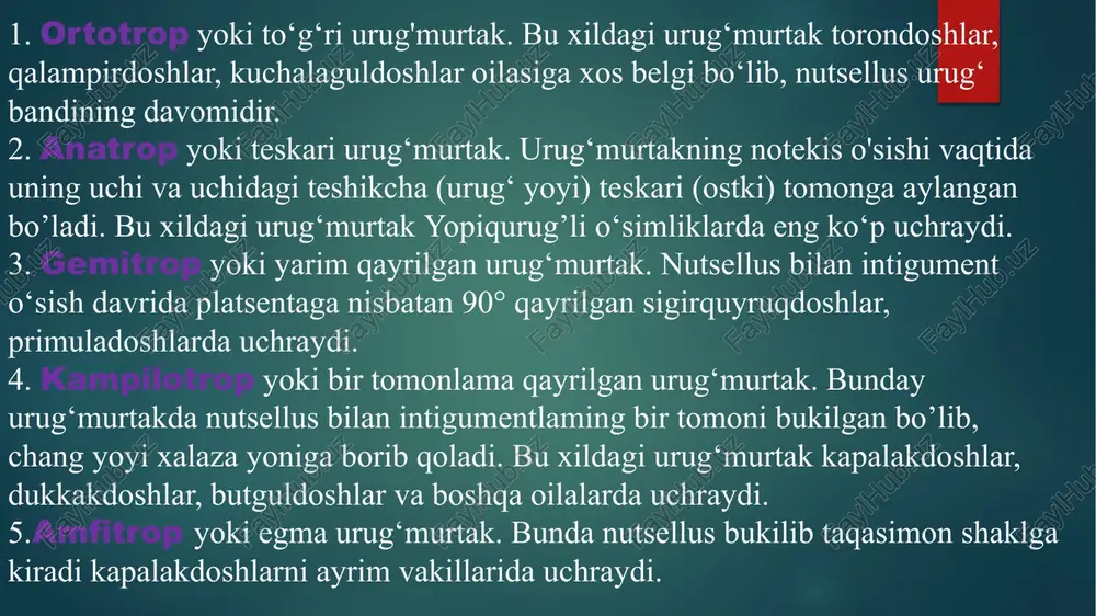 megasporogenez va urug‘chi gametofit - Page 5