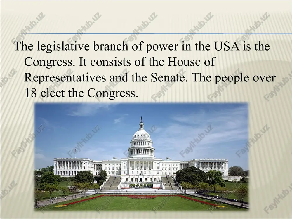 the political system of the usa - Page 5