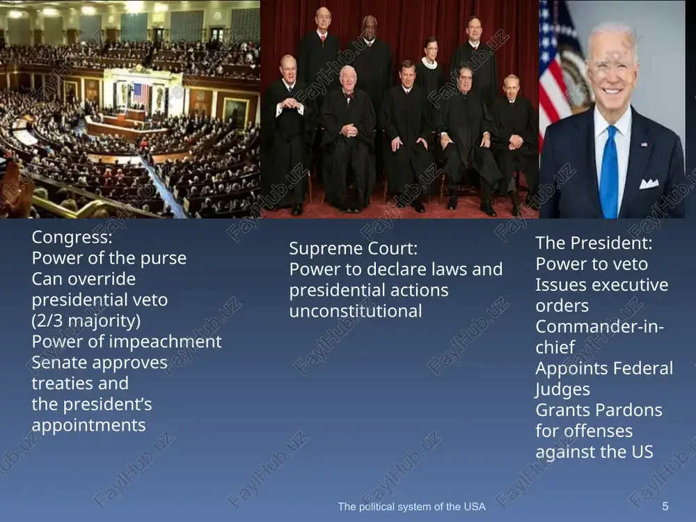 the political system of the usa - Page 5