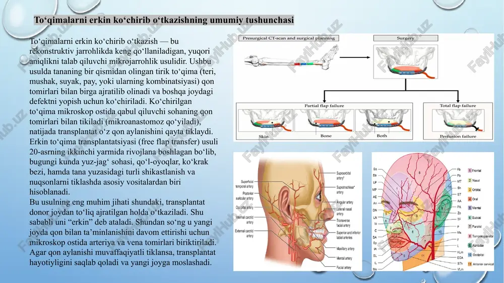 lash, chaynash, yutish kabi funksiyalari jiddiy ravishda buziladi. shu sababli, murakkab defektlarni tiklashda erkin to‘qima ko‘chirib o‘tkazish eng samarali va ishonchli usullardan biri sifatida tan olingan. erkin to‘qima ko‘chirishga asosiy klinik ko‘rsatmalar quyidagilarni o‘z ichiga oladi: travmatik shikastlanishlar transport vositalari, ishlab chiqarish yoki sport jarohatlari natijasida yuz, jag‘, burun, lab va yonoq sohalarida katta hajmdagi to‘qima yetishmovchiligi hosil bo‘lishi mumkin. ayniqsa, suyak va yumshoq to‘qimalar bir vaqtda zararlangan hollarda mikrojarrohlik usulida erkin transplantat qo‘llash orqali to‘liq rekonstruksiya amalga oshiriladi. o‘sma (neoplazma) olib tashlanganidan keyingi nuqsonlar yuz-jag‘ sohasidagi malign yoki benign o‘smalarni jarrohlik yo‘li bilan olib tashlash natijasida yuzning turli qismlarida chuqur defektlar paydo bo‘ladi. bunday hollarda to‘qimalarni erkin ko‘chirib o‘tkazish yordamida o‘smadan bo‘shagan joy morfologik va funksional jihatdan qayta tiklanadi. yiringli va nekrotik jarayonlardan so‘nggi defektlar o‘tkir infeksiya yoki uzoq davom etgan yiringli jarayonlar natijasida yuz sohasining ayrim qismlarida to‘qimalar nobud bo‘lishi (nekroz) kuzatiladi. bu holatda o‘lik to‘qimalar olib tashlanib, …