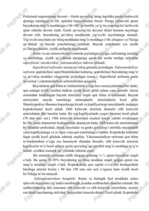 qaruv yo’llarini alohida-alohida qorin soxasiga tikib qo’yish usuli yordamida esa xar bir buyrakning siydik ajratish mexanizmini o’rganish mumkin. bunda bir tomonlama denervatsiya qilingan yoki bir buyragini olib tashlash yo’li bilan siydik hosil bo’lishini o’rganiladi. buyraklar faoliyatini o’rganishning asosiy usullaridan biri bu mikropunktsiya va mikroperfuziya usullaridir. birinchi bo’lib pensilvan universitetida a.n.richards taklif etgan mikropipetka yordamida nafronning turli qismlaridan suyuqliklar olinib, nefronning turli qismlarini siydik hosil bo’lishidagi roli o’rganiladi. inson va hayvonlar buyraklarining funktsional holatini o’rganish uchun, ayrim moddalarni qonda va siydikdagi miqdorini aniqlab, siydik hosil bo’lishining asosiy jarayonlari to’g’risida miqdoriy ma’lumot beradi (tozalanish koefitsenti). bu usul klinikada keng ko’lamda qo’llanilmoqda. buyraklarning fiziologik faol moddalarni sintez qilishini aniqlash uchun, arteriya va vena qon tomirlaridagi qon tarkibi tekshirilib, solishtirib ko’riladi. elektron mikroskopiya, tsitokimyo, bioximik va elektrofiziologik usullar yordamida buyrak hujayralarining ishlash mexanizmi, turli vazifalarni bajarishi metabolitik vazifilari hamda kanalchalarning turli qismlarini funktsional ahamiyati o’rganiladi. diurezni o’rganish klinik tekshirishlarining asosiylaridan hisoblanadi. siydikning tarkibi, undagi …