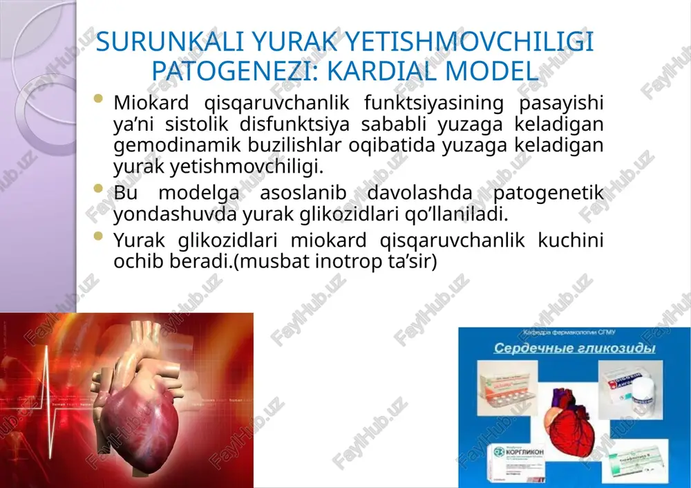'ni gipoksemiya, giperkapniya va atsidoz → xemoretseptorlarning qo'zg'alishi → nafas olish markazining qo'zg'alishi → hansirash surunkali yurak yetishmovchiligida taxikardiya patogenezi beynbridj refleksi – kovak vena teshiklarida venoz dimlanish tufayli cho'zilishi simpatoadrenal tizimning faollashishi → katexolaminlarning musbat xronotrop ta'siri beynbridj refleksi katta qon aylanish doirasida dimlanish kovak venalar va o’ng bo’lmacha to’lishuviga olib keladi bo’lmacha mexanoretseptorlari signallarni vagus nervining sezuvchi tolalari bo'ylab uzunchoq miyaga yuboradi miyadan efferent signallar vagus va simpatik nervlar bo'ylab yurakka uzatiladi, natijada yurak urish tezligi va kuchi oshadi. bu refleks tomirlar, atriya va kichik qon aylanish doirasida dimlanishning oldini oladi. simpatoadrenal tizimning faollashishi yurak yetishmovchiligi bor bemorning qon plazmasida noradrenalin, angiotenzin –ii , aldosteron kontsentratsiyasi oshishi natijasida – yurak qisqaruvchanlik kuchi oshadi, yurak qisqarishlar soni koʼpayadi, venoz qon qaytimi oshadi va toʼqimalarda o2 utilizatsiyasi oshadi. shish yashirin - 5 litrgacha yaqqol to'qimalarda (oyoqlar, tovon, jinsiy a'zolar, qorin old devori, bel, o'pka shishi) bo'shliqda (astsit, gidroperikard, gidrotoraks) shish …