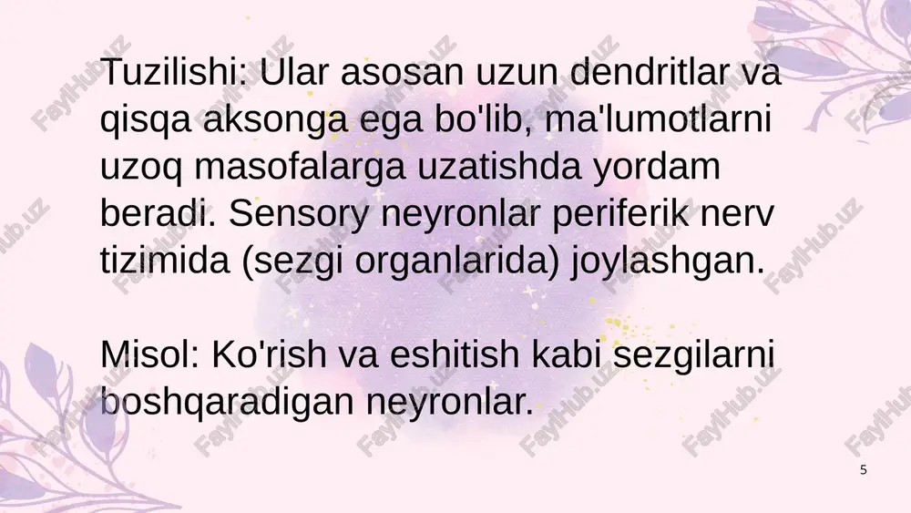 neyron turlari - Page 5