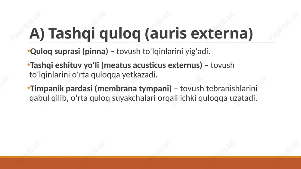 eshituv va muvozanat anatomiyasi - Page 5