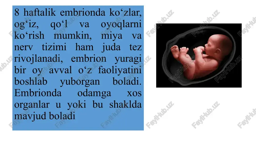 o'z nomini atash “men” so'zi bilan almashiladi. “men” sistemasi ilk bolalik davrining oxirlarida vujudga keluvchi markaziy tuzilmadir. bola o'zini boshqa kishilardan ajrata boshlaydi va o'zining “men” ini mustaqil ravishda anglaydi, ya'ni o'z-o'zini anglashning boshlang'ich formalari vujudga keladi. bola hamma narsani kattalarning yordamisiz bajarishga harakat qiladi. “men o'zim” tushunchasi ustun bo'la boshlaydi. shu tariqa kattalar bilan bola o'rtasida bo'ladigan o'zaro munosabatlarda qiyinchiliklar paydo bo'ladi. bola injiq, o'jar bo'lib qoladi. inqirozli davr sifatida go‘daklik davri n.d.levitovning ko‘rsatishicha, yangi harakatlarni egallash analizatorlarning rivojlanishi bilan chambarchas bog'langandir, zotan kichkina bola olamni sezish yordami bilan biladigan mavjudot bo‘lganligi sababli, harakatlarning o‘z vaqtida taraqqiy etishi bolaning umumiy psixik taraqqiyotini ko‘rsatuvchi om il bo‘lib xizmat qiladi. ilk yoshdagi bolalarning muskullari juda bo‘sh bo‘ladi. 1 yosh nutqni tushunishning dastlabki belgilari; mustaqil holda tik turish va yurish, nutqni qo‘llashning dastlabki belgilari 10 oylik sensomotor intellektning rivojlanishi; mustaqil holda tik turish va yurishga harakat qilish, bog'liqlik reaksiyasining yuzaga kelishi, begona …