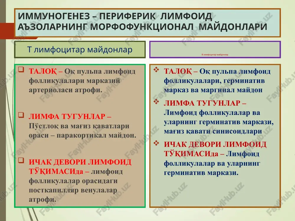 immun tizim xususiyatlari - Page 5
