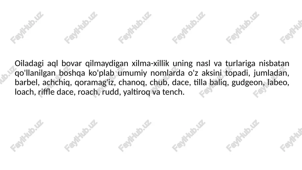 zgich qanotida iii-iv 7-9, anal suzgich qanotida iii 4-6 ta shu’la mavjud. yon chizig’idagi tangachalar soni 60-66 ta. oyquloq ustunchalari 16-18 ta. tana uzunligi 70 sm.gacha, og’irligi 12 kg. gacha. tarqalishi. sirdaryo va amudaryo havzalarida, kaspiy dengizi havzasida uchraydi. biologiyasi. 3-4 yoshida jinsiy voyaga yetadi. uvildiriq tashlashi bir vaqtda kechadi. urchishi may-iyunda qumli-toshli gruntlarda o’tadi. serpushtliligi 40-100 ming uvildiriqgacha. suv osti hayvonlari, o’simliklar, baliqlar bilan ovqatlanadi. orol mo’ylovdor balig’i va chuy qora balig’i bilan gibridlari ma’lum. turkiston mo’ylovdori luciobarbus capito (güldenstädt, 1773) ahamiyati. orol dengizi havzasi endemigi. keyingi yillarda soni sezilarli darajada kamayib ketdi. ovlash taqiqlangan. o’zbekiston va qozoqston “qizil kitob”lariga kiritilgan. qorabaliq schizothorax eurystomus kessler, 1972 taksonomiyasi. an’anaga ko’ra, qorabaliqni schizothorax intermedius mcclelland, 1842 deb qaralgan. ammo hozir bu nomlanish unchalik to’g’ri emas (fishbase; itis va x.). tavsifi. og’zi pastki yoki yarim pastki. tangachalari mayda. anal teshigi va anal suzgich qanotining asosi qator kengaygan tangachalar (yoriq) bilan qoplangan. qorin …