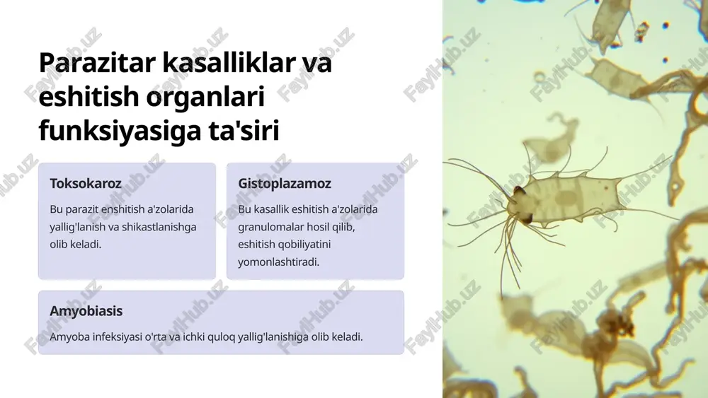 eshitish tizimi va mikroorganizmlar ta'siri - Page 5