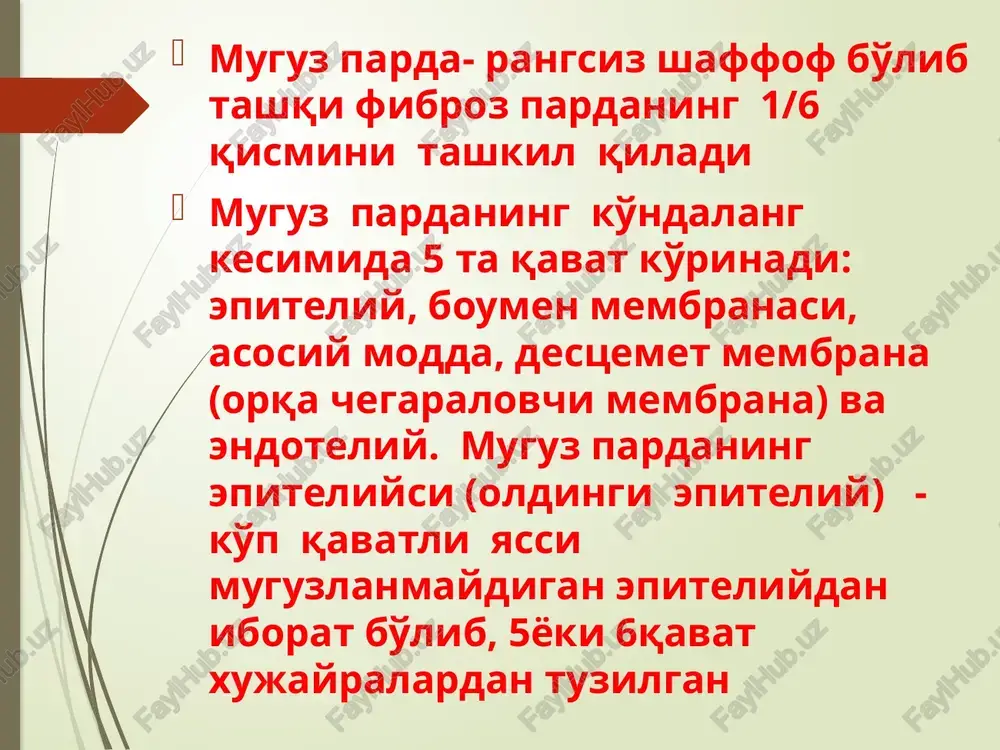 fotoretsepsiyaning morfologik asoslari - Page 5