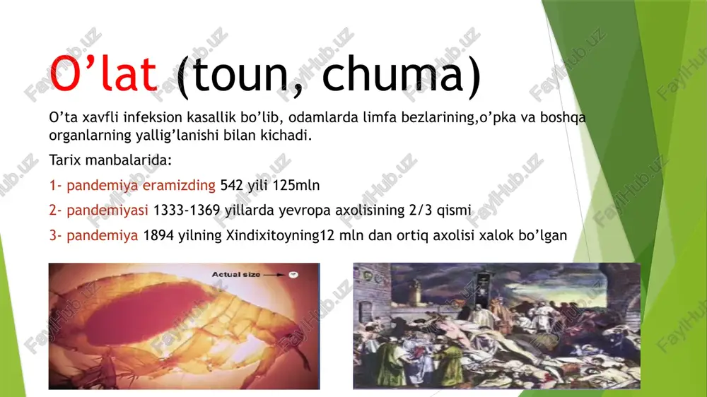 it bilan chayiladi bemor chiqindilari mutaxassis kelguncha toza idishga solib quyiladi ximoya kiyimlari kiyiladi o’ta xavfli infeksiyalarda ximoya kiyimlarini kiyish va yechish tartibi image1.jpeg image2.png image3.png image4.jpeg image5.jpeg image6.wmf image7.wmf image8.wmf image9.jpeg image10.jpg image11.jpg image12.jpg image13.jpg image14.png image15.png image16.png image17.png image18.png image19.png image20.png media1.mp4 image21.png /docprops/thumbnail.jpeg