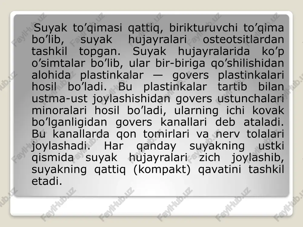 suyaklar haqida qisqacha - Page 5