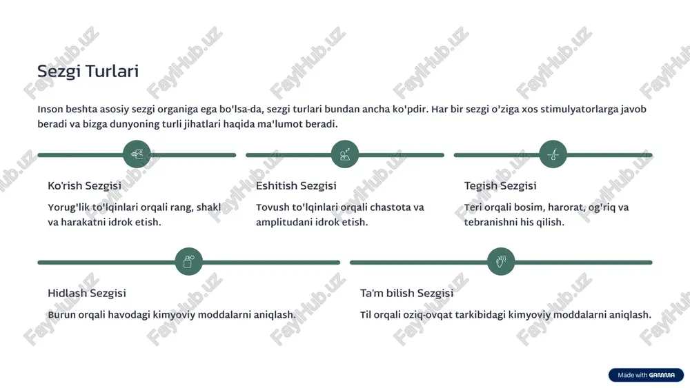 sezgi va diqqat: asosiy tushunchalar - Page 5
