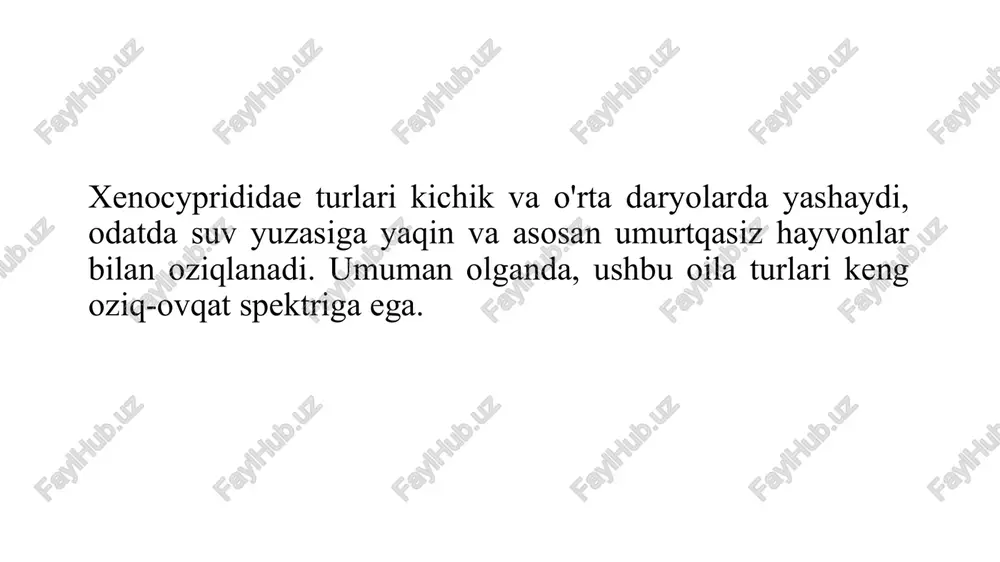 siqilgan. orqa qanoti kalta va silliq suyakli umurtqa pog‘onasiga ega. qorin qanotlari oldida tangachalar bilan qoplanmagan qirrasi bor. ko‘krak qanotlari qorin qanotlarining vertikal asosiga yetib boradi. anal suzgich cho'zilgan. yon chizig’ida 56-59 tangacha bor. tana uzunligi 55 sm., vazni 4,1 kg.gacha boradi. tarqalishi. tabiiy areali – rossiya (uzoq sharq), xitoy. o’zbekistonga xitoydan o’simlikxo’r baliqlarni iqlimlashtirish paytida (1961) tasodifan keltirilgan. biologiyasi. daryoda urchiydi, uvildirig’i pelagik. ovqatlanishi asosan makrofitlardan iborat bo’lib, zoobentos bilan ham kam ovqatlanadi. ahamiyati. ovlanadigan tur. avloddagi yakka tur. koreya qirraqorin hemiculter leucisculus (basilewsky, 1855) tavsifi. tanasi cho’zinchoq, yengil ko’chib tushadigan tangacha bilan qoplangan. yon chizig’i keskin pastga qayrilib tushadi va qorin suzgich qanotining asosidan tana pastiga nisbatan parallel ravishda cho’zilib borib, anal suzgich qanotidan yuqoriga egiladi va dum o’qi bo’ylab tana o’rtasidan ketadi. qornidagi qirra tomog’idan to anal teshigigacha boradi. og’zi to’g’riga qaragan. halqum tishlar uchqatorli, qarmoqsimon egilgan, formulasi odatda 4.4.2-5.4.2. orqa suzgich qanotida ii-iii 7-8, anal suzgich …