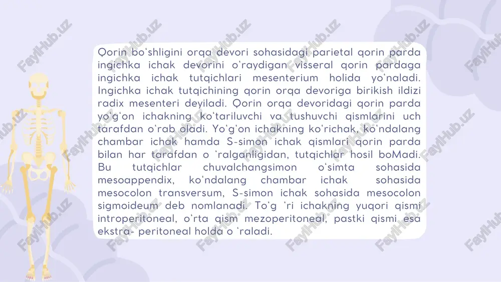 qorin parda - peritoneum - Page 5