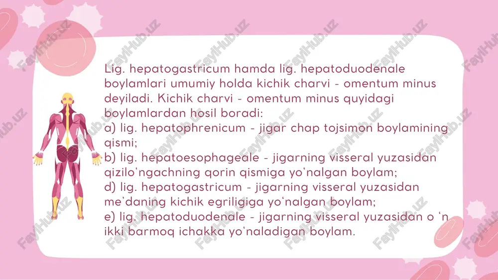qorin parda - peritoneum - Page 5