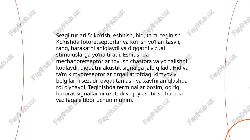 sezgi va diqqat - Page 5