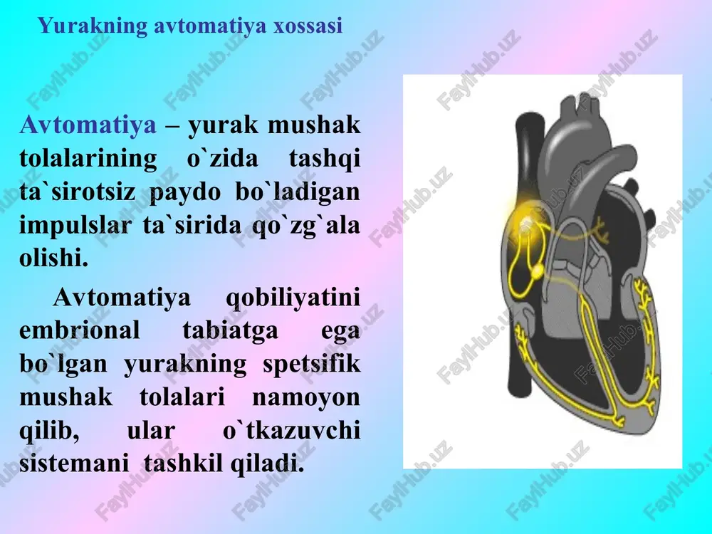 yurakning gemodinamik vazifasi - Page 5