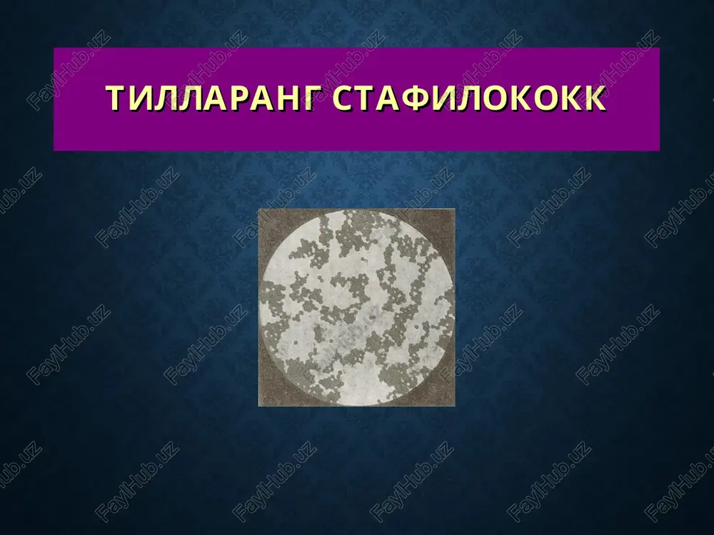 llaydi va furunkulga nisbatan derma va gipodermaning yanada chuqur qavatlariga tarqalgan bo'ladi. «karbunkul» so'zi yunoncha bo'lib, «carvo» – ko'mir so'zidan kelib chiqqan va «ko'mirga aylanish», («qorayib kuyish») ma'nosini anglatadi. klinikasi kasallik boshlanishida bir necha soch follikulasida birdaniga yoki birin-ketin qattiq infiltrat paydo bo'lib, bular bir butun infiltrat hosil qilib qo'shiladilar. u kattalashib ba'zan bolalar kafticha bo'lishi mumkin. uning yuzasi yarimsharsimon shaklda bo'lib, teri taranglashadi, mahalliy harorat ko'tariladi. infiltrat markazi ko'kimtir, atrofi qizg'ich rangda bo'ladi va kuchli og'riq bilan kechadi. bu infiltrat rivojlanayotgan birinchi bosqich bo'lib, u 8-12 kun davom etadi. keyin infiltratning markaziy sohasida, soch follikulasi atrofida nekroz kuzatiladi va bir nechta maddalar shakllanadi. ularning qobig'i qoramtir tusga kiradi, yoriladi va g'alvirni eslatuvchi bir nechta teshik paydo bo'ladi. bulardan qon aralash sarg'imtil-yashil rangli yiring oqib chiqa boshlaydi. karbunkul markazidagi boshqa sohalar ham sekin-asta nekrozga uchraydi. ajralib chiqqan massalar o'rnida chuqur yara shakllanadi. ikkinchi bosqich, ya'ni yiringlash va nekrozga uchrashi 14 …