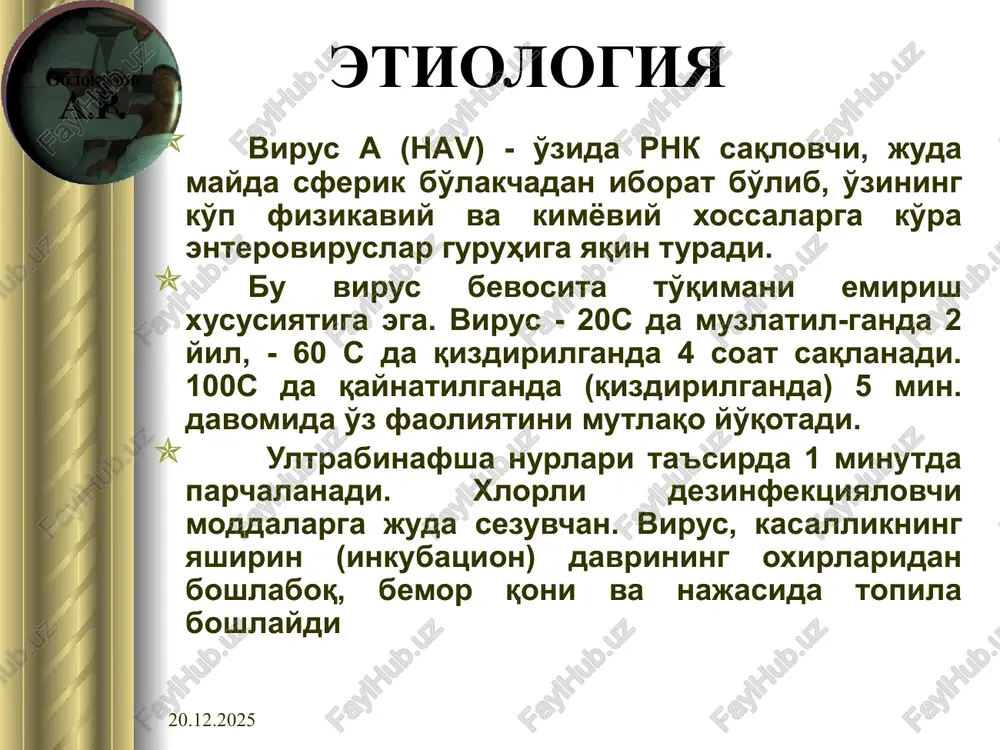 sariksiz shakli subklinik innaporant shakli xaddan tashkari yukori hla–b8, al–v8 mutanosib asosiy fenotiplar nla sekinlashgan nla b7 a3 – b7 susaygan hla b18, b35 yuk im-mun ja-vob nvsag hepatocyte membrane dicplay hbv ni yuktirish hlai hla genlari ir-gen, ir-gen c6-xromosoma α- va γ- ifn ni ishlab chikish 15.02.2022 o'tkir virusli gepatitlarning klinik tasnifi (№5 05.01.2012 yil) 1.etiologiyasi bo'yicha: a) enteral: o'vga, o'vge b) parenteral: o'vgv, o'vgs, o'vgd (ko-, super-infektsiya) v) mikstgepatitlar 2. klinik kechishiga karab: a) manifest: sariqlik bilan kechuvchi, sariqlik xolestatik komponent bilan, xolestatik va sariqsiz shakli. b) latent: subklinik va innaparant 3.kasallik kechish og'irligiga ko'ra: engil, o'rta og'ir, og'ir, fulminant. 4. kasallik kechish davriga asoslanib: o'tkir 1-3 oy, cho'zilgan 3-6 oy. 15.02.2022 klinikasi i-turg'unlik davri: vgada 14-50 kun vgeda 14-60 kun vgv da 45-180 kun. vgs da 30-45 kun. vgd da 45-180 kun. 15.02.2022 ii-sariqlik oldi davri: dispeptik (ishtahasizlik, ko'ngil aynishi, qusish, qorinda og'riq, o'ng qovurg'a ostida og'irlik …