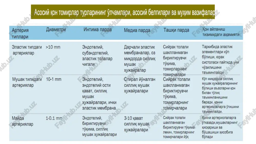 yurak-tomirlar sistemasi - Page 5