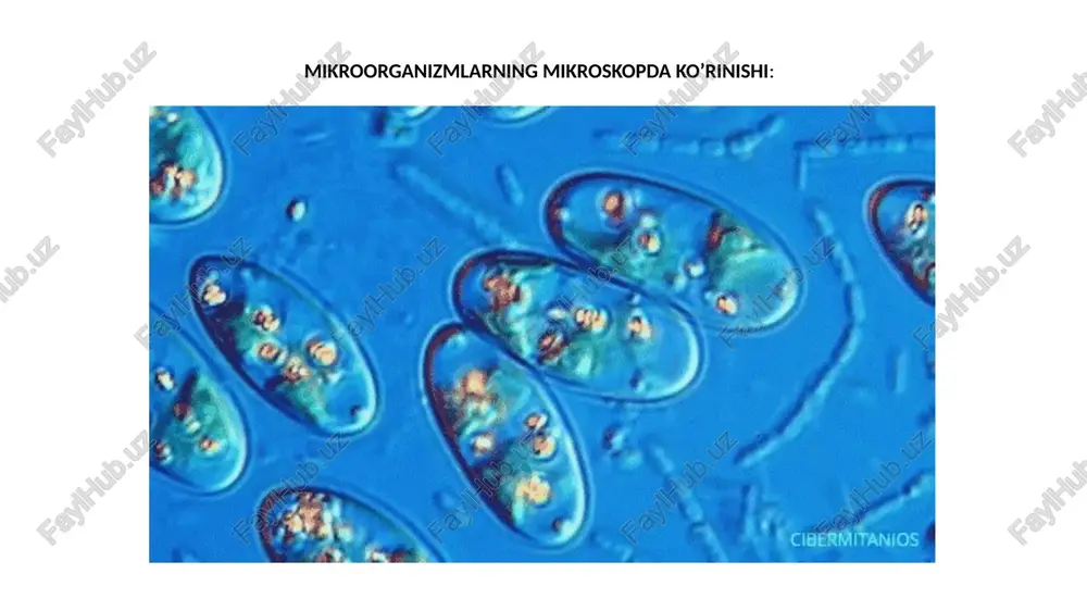 mikrobiologiyaning asosiy o’rganish usullari - Page 5