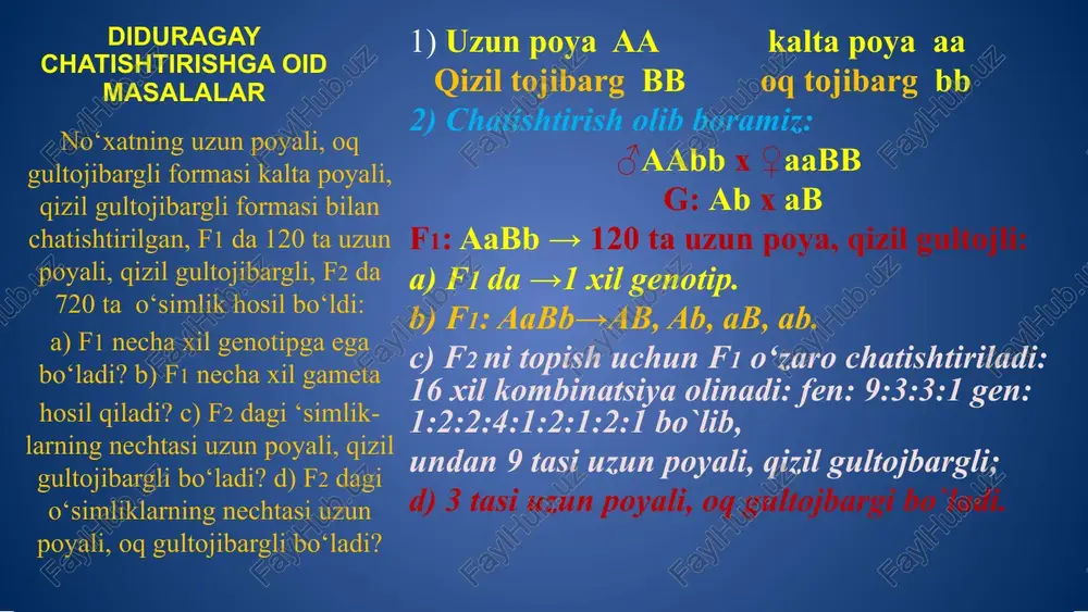 ppoo p/ch n/ch oilada yana chapaqay polidaktiliya bilan kasal bola ham tug`iladi. odamlarda polidaktiliya va o‘naqaylik dominant belgilardir. otasi 6 barmoqli, onasi har ikkala belgiga nisbatan sog‘lom oiladan chapaqay va barmoq-lari soni normal bola tug‘ildi. bu oilada yana qanday fenotipli bolalar tug‘ilishi mumkin? diduragay va poliduragay chatishtirishga oid masalalar yechishni uyda mastahkamlash 1. digomozigota sariq burishgan va digomozigota yashil silliq no`xatlar o`zaro chatishtirilsa, f1 va f2 da necha foiz sariq no`xatlar olinadi? 2. sariq va silliq donli, qizil gulli genotipiga ko`ra trigeterozigota bo`lgan no`xatlar o`zaro chatishtirilsa, avloddagi sariq burishgan no`xatlarning necha foizi oq gulli bo`ladi? 3. faqat birinchi belgisiga oraliq irsiylanish kuzatiladigan trigeterozigota organizmlar o`zaro chatishtirilsa, avlodda fenotipik guruhlar soni nechta bo`ladi? 4. odamlarda glaukoma kasalligining ikki turi bo`lib, har ikkisi ham retsessiv genlar bilan belgilanadi. sog`lom er va xotin nikohidan har ikki turi bo`yicha kasal farzandlar tug`ilgan bo`lsa, faqat bir turi bo`yicha kasal farzandlar tug`ilishi ehtimoli necha foiz bo`ladi? …