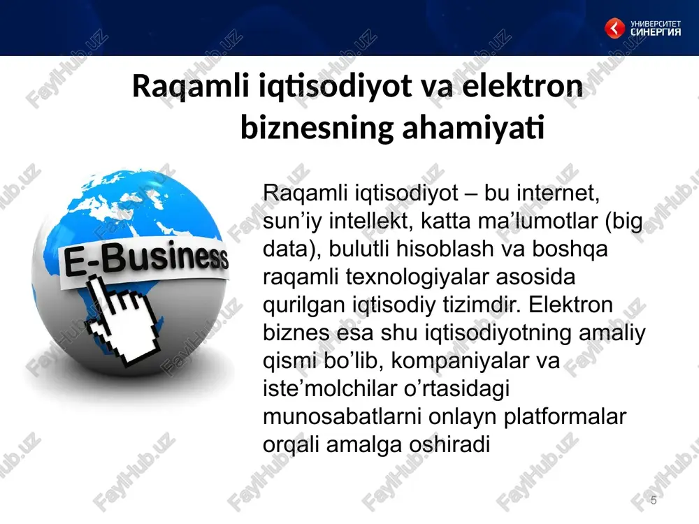 raqamlielektronbiznes - Page 5
