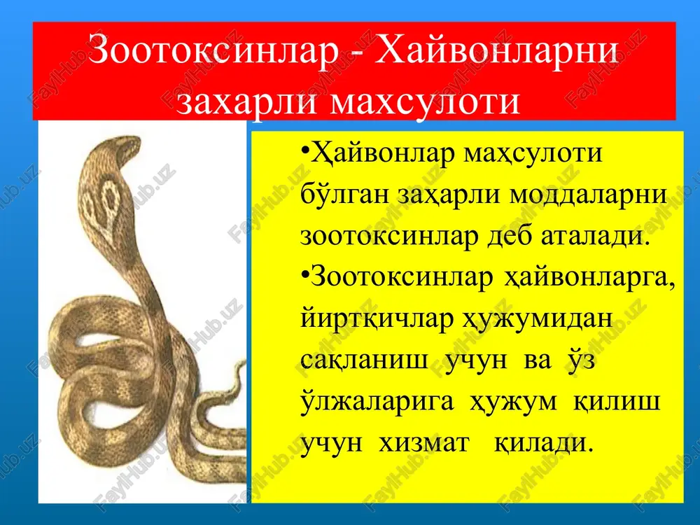 a qarshi zardob yuborish. kobra(kapcha ilon) chaqqanda kulvor ilon hisor,zarafshon,nurota tizma tog'larida,tog' etaklarida uchraydi. tanasi 120 sm.cha keladi. kechasi ovga chiqadi. mayda qushlar, kemiruvchi-lar,kaltakesaklar bilan oziqlandi. odamga duch kelganda harakatsiz yotadi. zahari juda havfli. charx ilon uzunligi 80-90 sm. bezovta qilinganda, bir joyda turib aylana boshlaydi va yon tangachalari bir biriga ishqalanib, charx tosh kabi ovoz chiqaradi. fakat tunda ovga chiqadi. markaziy osiyoning janubidagi chul- larda,tog' etaklarida uchray- di. chaqqanda juda kuchli og'riq yuzaga keladi. umurtqasiz xayvonlar, chayon, chigirtka,ko'poyoklar, yosh ilonlar bilan oziklanadi. voyaga etganlari, kaltakesak, baqa,zaharsiz ilonlar bilan oziqlanadi. yakuniy bosqich talabalarga amaliy bilimlarni o'zlashtirganligini aniqlash uchun savollar va vaziyatga oid masalalar berish; talabalarga test savollarini berish va javoblarni tekshirish; talabalarning albomlarini tekshirsh; mashg'ulot bo'yicha yakuniy xulosalar qilish, talabalar bilimini baholash; navbatdagi mashg'ulot mavzusi va unda qo'yilgan savollarni talabalarga aytish, kerakli adabiyotlar haqida ma'lumot berish.