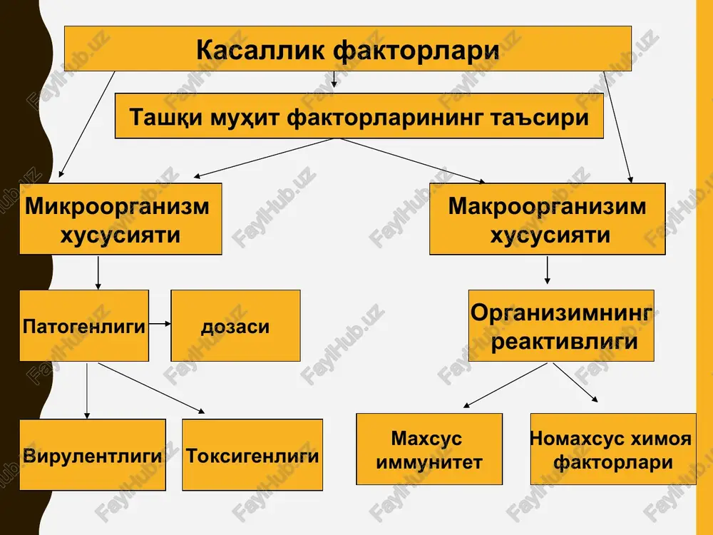 kombinatsiya turlari 1. kon'yugatsiya 2. transformatsiya. 3. transduktsiya. 4. protoplastlarni yopishishi (sliyanie).