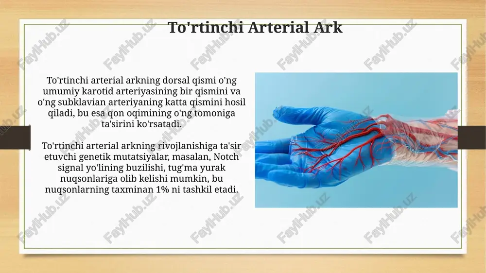 arteriya yoylari bilan ko’zatiladigan o’zgarishlar - Page 5