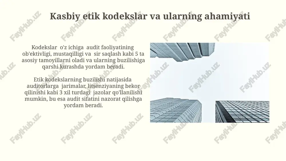 auditorlik faoliyatini tartibga solishda profesianal tashkilotlar roli - Page 5
