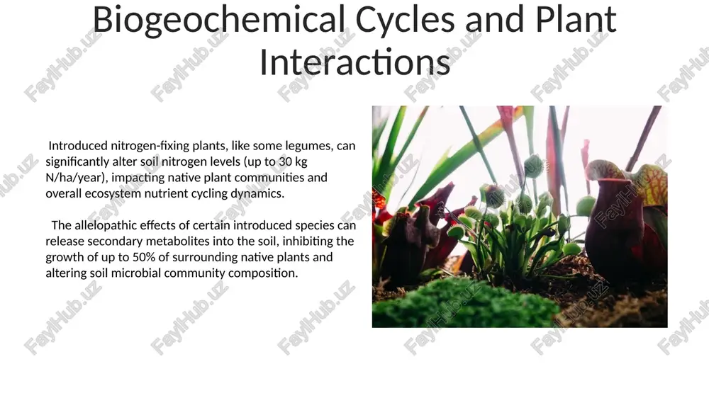 ies in arid and semi-arid regions due to deep root systems and efficient stomatal control. studies show a significant correlation (r² > 0.7) between leaf δ¹³c values (indicating carbon isotope discrimination) and drought tolerance in introduced c4 grasses, suggesting that lower δ¹³c values are associated with superior water use efficiency under drought stress. habitat selection and modification the invasive shrub lonicera japonica alters light availability within its invaded habitat, reducing understory plant diversity by 40-70% due to its rapid growth and dense canopy cover, changing microclimatic conditions. successful establishment of acacia mearnsii in various regions demonstrates adaptive habitat selection; its tolerance range encompasses ph levels from 4.5 to 8.0, showcasing its capacity to modify soil properties via nitrogen fixation and altering local hydrological cycles. thank you for your attention @taqdimot_robot image4.jpg image5.jpg image6.jpg image7.jpg image8.jpg image9.jpg image10.jpg image11.jpg image12.jpg image13.jpg image14.jpg image15.jpg image16.jpg image17.jpg image3.png image18.jpg image19.jpg image20.jpg image1.jpeg image2.jpeg