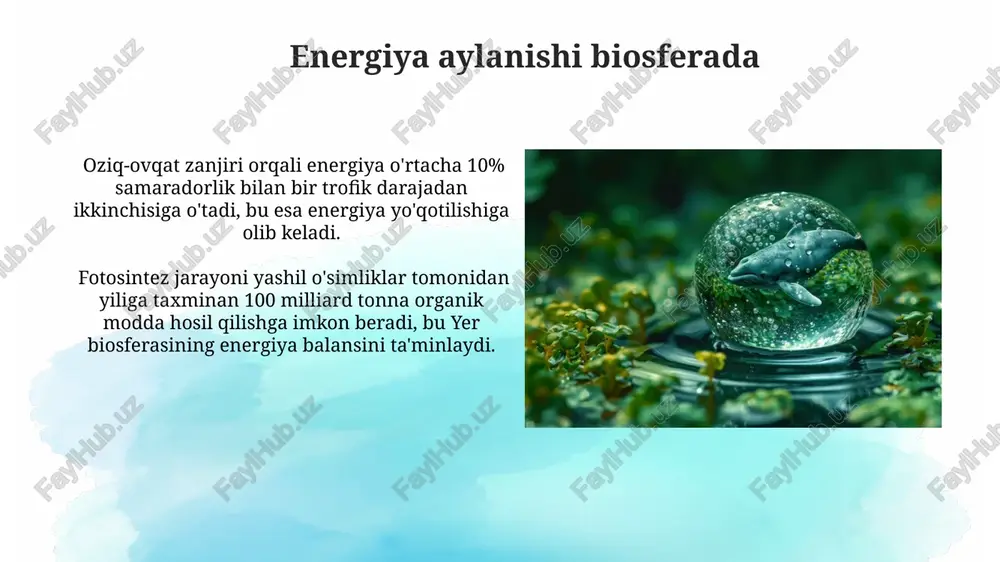 biosfera tabiiy sistema - Page 5
