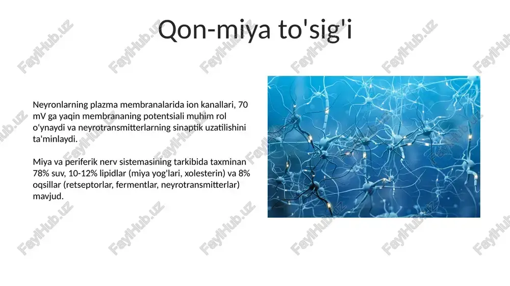miya va periferik nerv sistemining kimyoviy tarkibi - Page 5