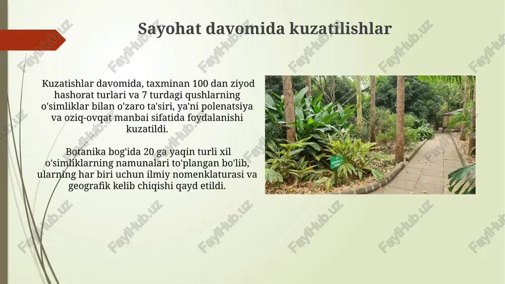 botanika bog'iga ekiskursiya - Page 5