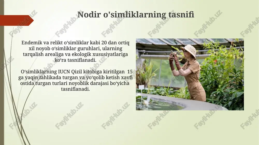 botanika bog'idagi noyob o‘simlik turlari bilan tanishish - Page 5