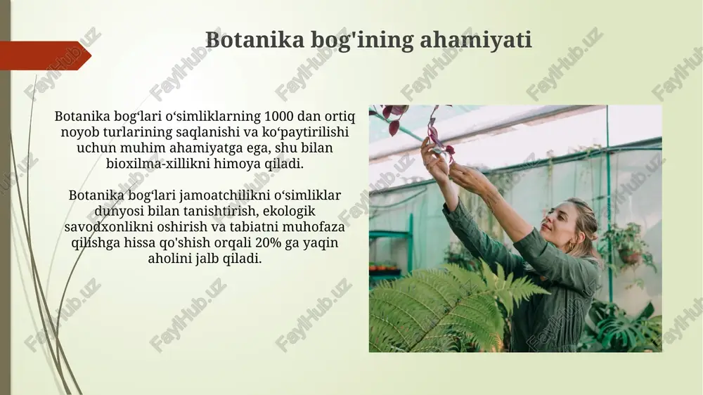 botanika bogʻidagi noyob oʻsimlik turlari bilan tanishish - Page 5