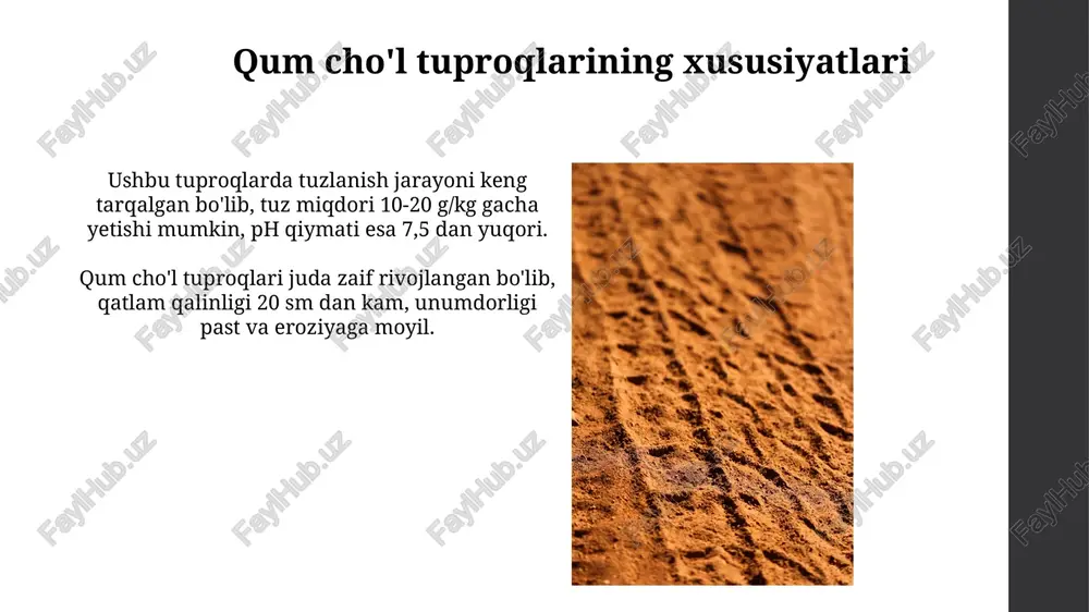 chala cho‘l tuproqlari - Page 5