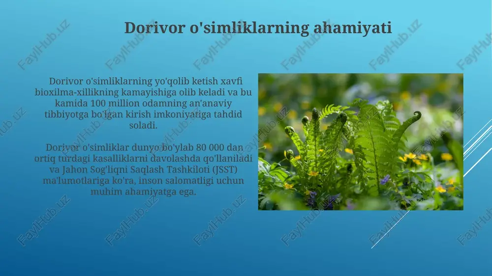 dorivor usimliklar va ularning muhofazasi - Page 5