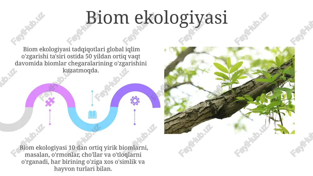 ekologik ta'limning zamonaviy usullari - Page 5
