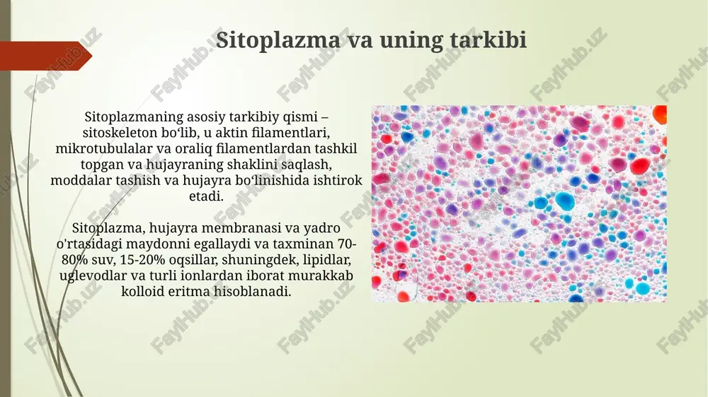eukariot hujayralarning ultrastruktraviy tuzilishi - Page 5
