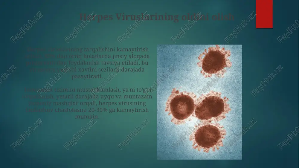 herpes viruslari: umumiy ma'lumot - Page 5