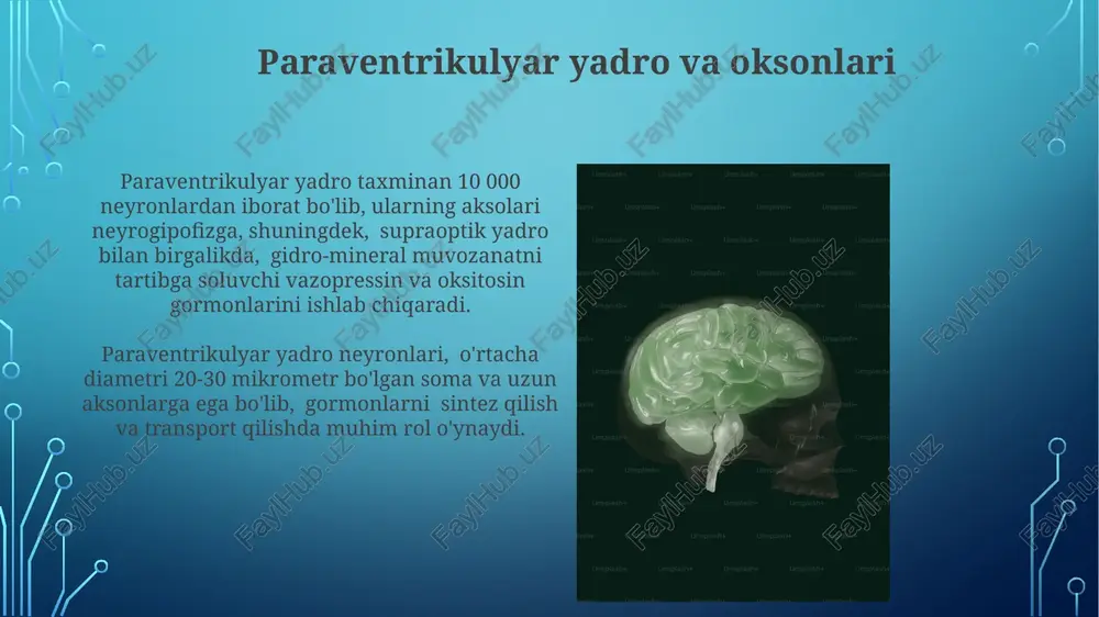 gipotalamus neyrosekretsiyasining strukturaviy asoslari - Page 5